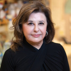 Khalil, Dr. Nasreen